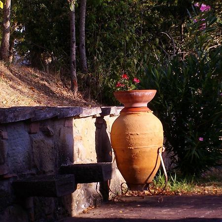 Tenuta Macetona Celle sul Rigo Εξωτερικό φωτογραφία
