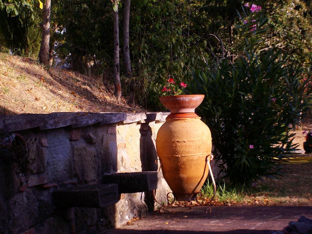 Tenuta Macetona Celle sul Rigo Εξωτερικό φωτογραφία